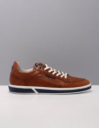 Floris van Bommel sfm-10202