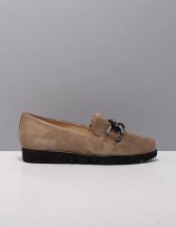 HasSia 301537