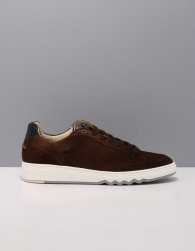 Floris van Bommel sfm-10183