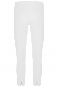Cambio Ros summer crop 8299-0287 00