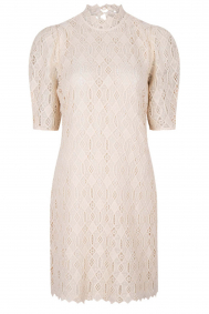 Dante6 231131-marley-lace-dress