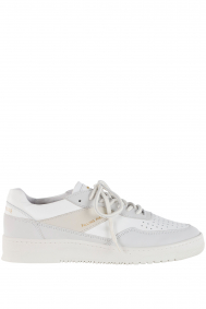 Filling Pieces ace-spin