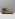 Magnanni 20109 beige