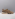 Floris van Bommel Sfm-10136 beige