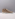Giorgio 28767 beige