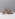 Evaluna 9829 beige