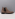 Floris van Bommel Sfm-60052 beige