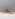 Floris van Bommel Sfm-10164 beige