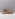 Cypres Sienna beige