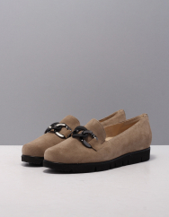 HasSia 301537