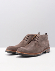Floris van Bommel sfm-50085