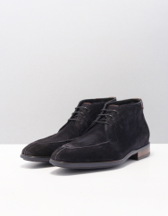 Floris van Bommel sfm-50122