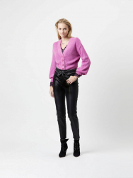 Dante6 jessy-cropped-223406