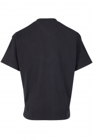 Represent swan-tshirt-mt4021